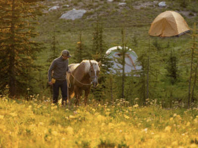 Darwood Outfitting: Windy Peak in pasayten wilderness